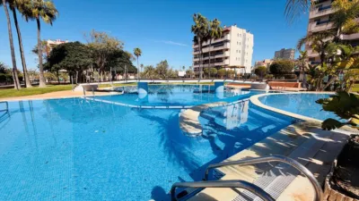 Piso – Elx - Elche - Más