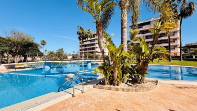 Apartment in Elche photo 7