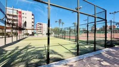 Apartment in Elche photo 8
