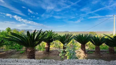 Rustic Finca in Pego photo 20