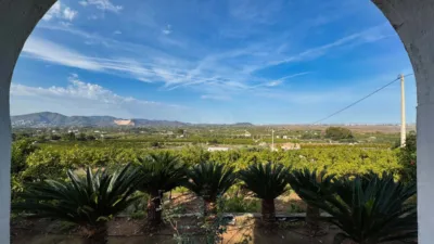Rustic Finca in Pego photo 7