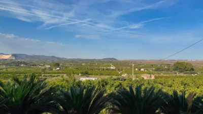 Rustic Finca in Pego photo 9