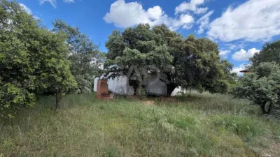 House in Nuevo Baztán photo 34