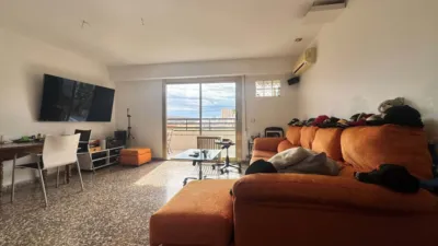 Pis – Alacant / Alicante, Polígono Industrial APD/21, l'Alacantí - Vista 3
