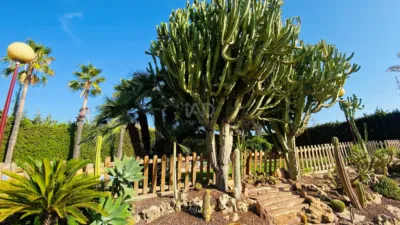 Chalet in Alicante photo 13