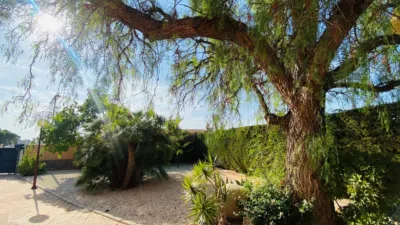 Chalet in Alicante photo 15
