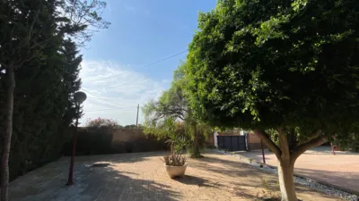 Chalet in Alicante photo 18
