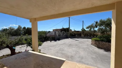 Rustic Finca in El Raval de Crist photo 10