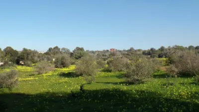 House in Cala Llombards photo 22