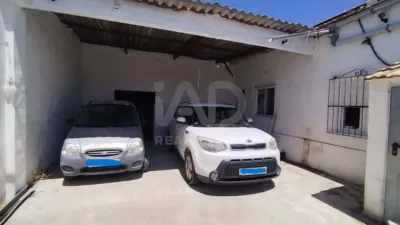 House in Elche photo 28