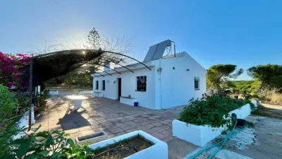 Finca rústica en venta en Pozo del Camino - Vista 5