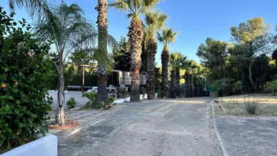 Finca rústica en venta en Pozo del Camino - Vista 6