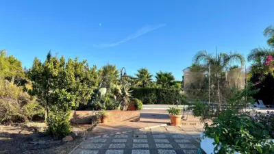 Finca rústica en venta en Pozo del Camino - Más