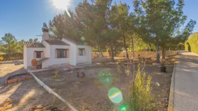 House in Yecla photo 38