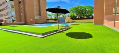 House in Elche photo 38