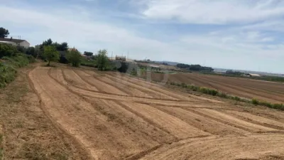 Rustic Finca in Gea y Truyols photo 20