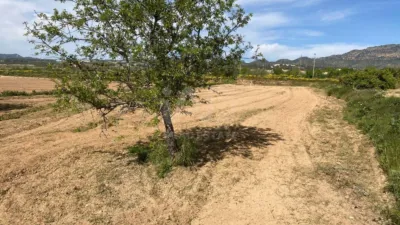 Rustic Finca in Gea y Truyols photo 22