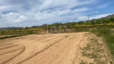 Rustic Finca in Gea y Truyols photo 24