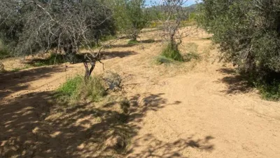Rustic Finca in Gea y Truyols photo 21