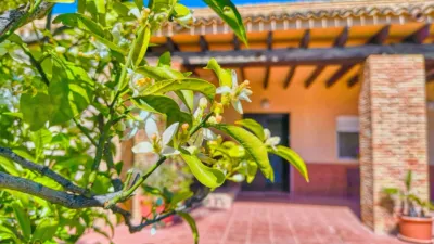 Casa en Elche photo 16