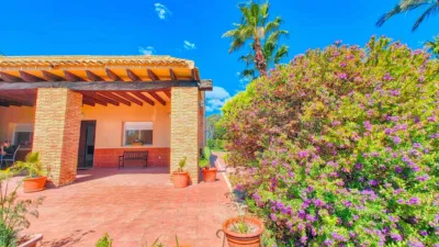 Casa en Elche photo 25