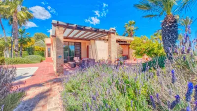Casa en Elche photo 20