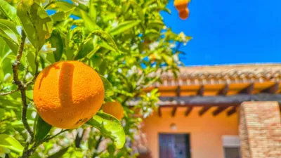 Casa en Elche photo 18