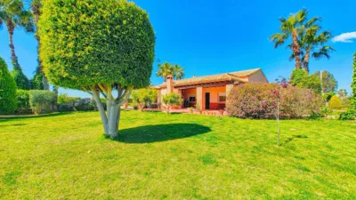 Casa en Elche photo 13