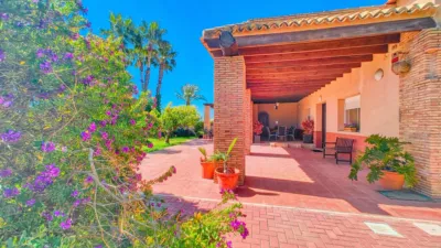 Casa en Elche photo 19