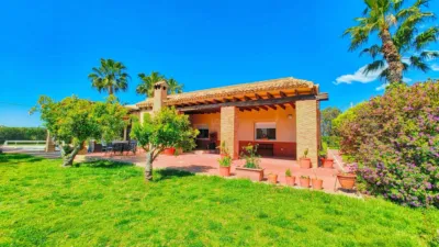 Casa en Elche photo 15