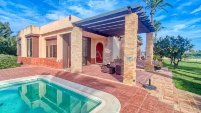 Casa – Elx - Elche - Vista 3