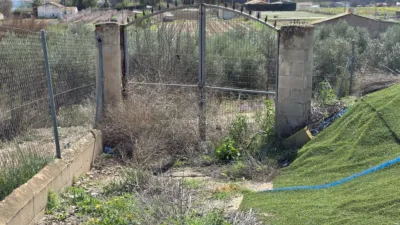 Rustic Finca in Calasparra photo 8