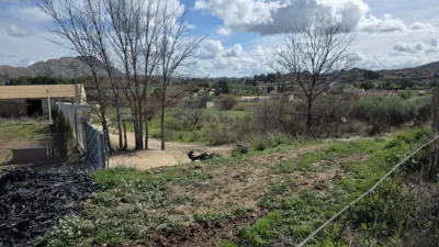Rustic Finca in Calasparra photo 12