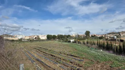 Rustic Finca in Calasparra photo 13