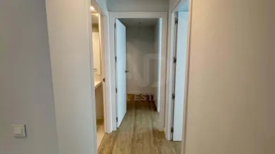 Apartment in Alicante photo 15