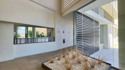 Apartment in Alicante photo 7