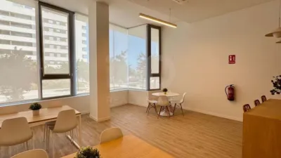 Apartment in Alicante photo 11