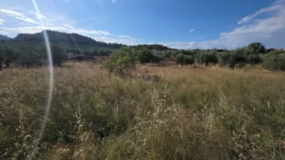 Terreno en venta en Socovos - Vista 3