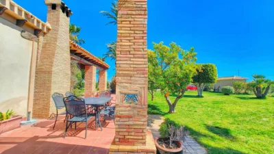 House in Elche photo 22