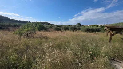 Terreno en venta en Socovos - Vista 4