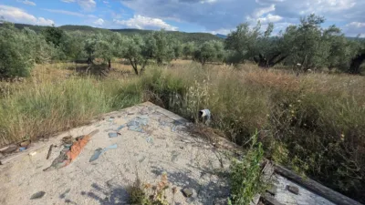 Terreno en venta en Socovos - Vista 2