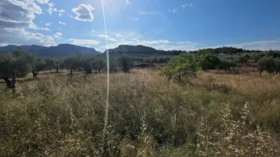 Terreno en venta en Socovos - Vista 5