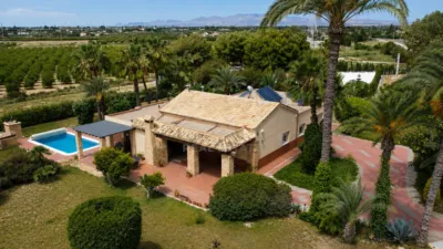 House in Elche photo 9