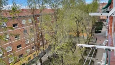 Apartment in Ambroz photo 8