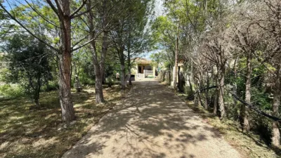 House in Colmenar de Oreja photo 20