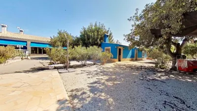 Casa – Elx - Elche - Vista 4