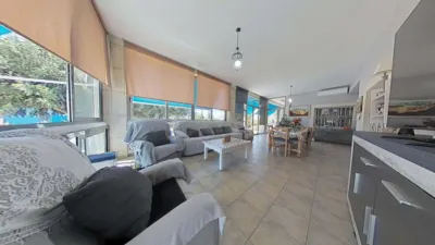 Casa – Elx - Elche - Vista 5