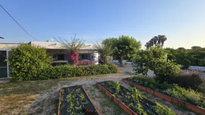 Rustic Finca in Nucli Urbà photo 17