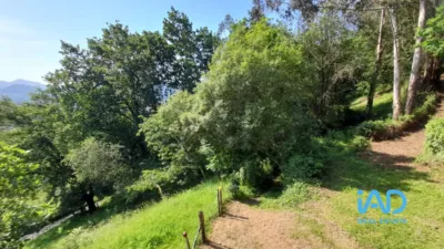House in Sopuerta photo 24