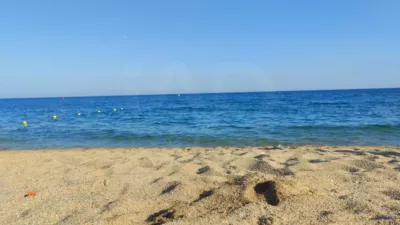 Apartment in Calella photo 16